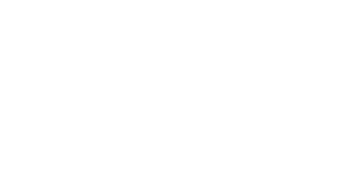 Austribe Laundry Services Logo